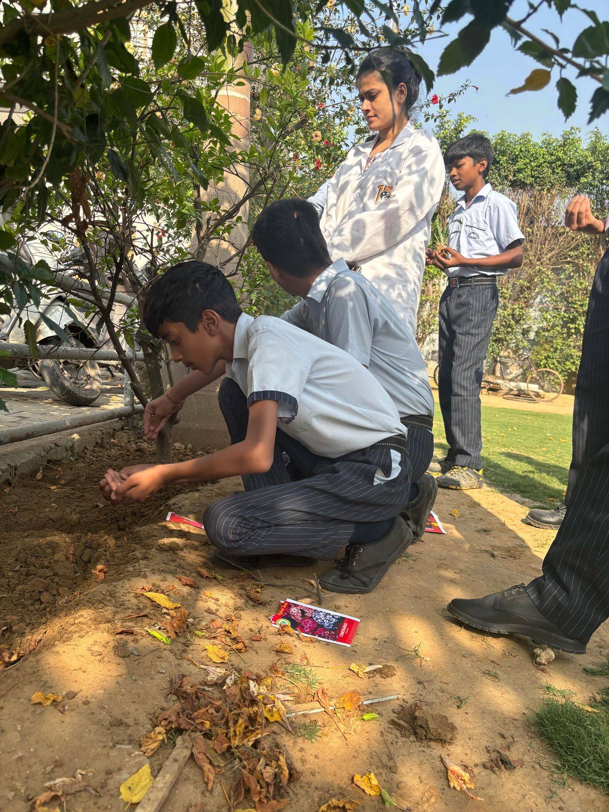 Farewell Celebration